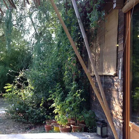 Au Chat Qui Peche Le Controis-en-Sologne Exterior photo