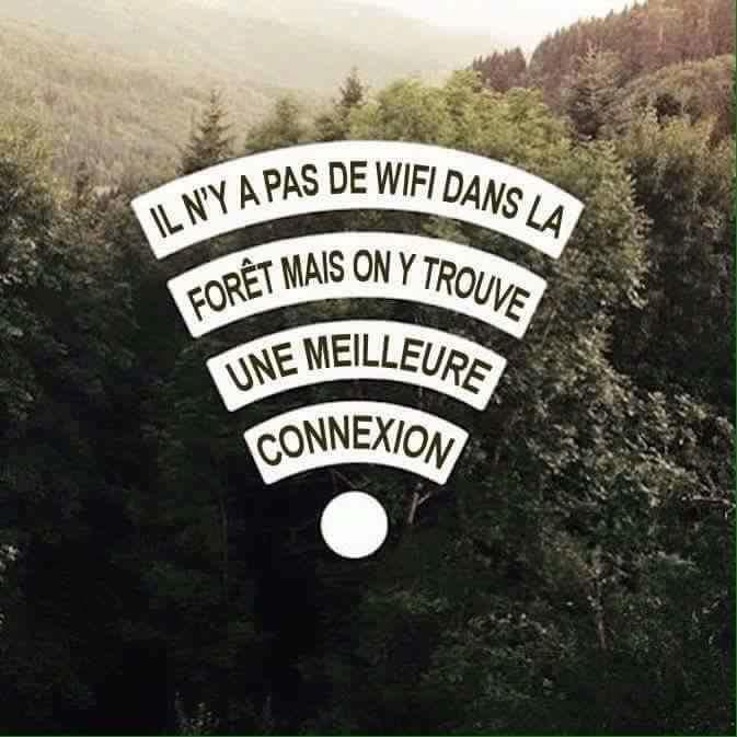 Au Qui Peche Luxuszelt