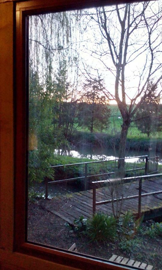 Au Chat Qui Peche Le Controis-en-Sologne